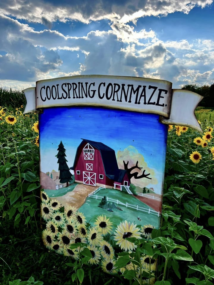 Main image for Coolspring Corn Maze