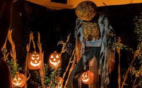 Main image for Sunland Haunted House