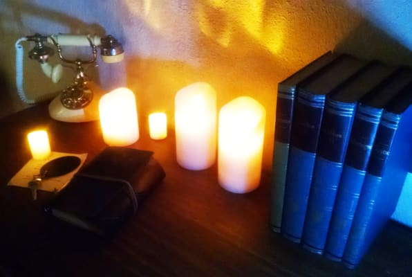 Main image for Minervium