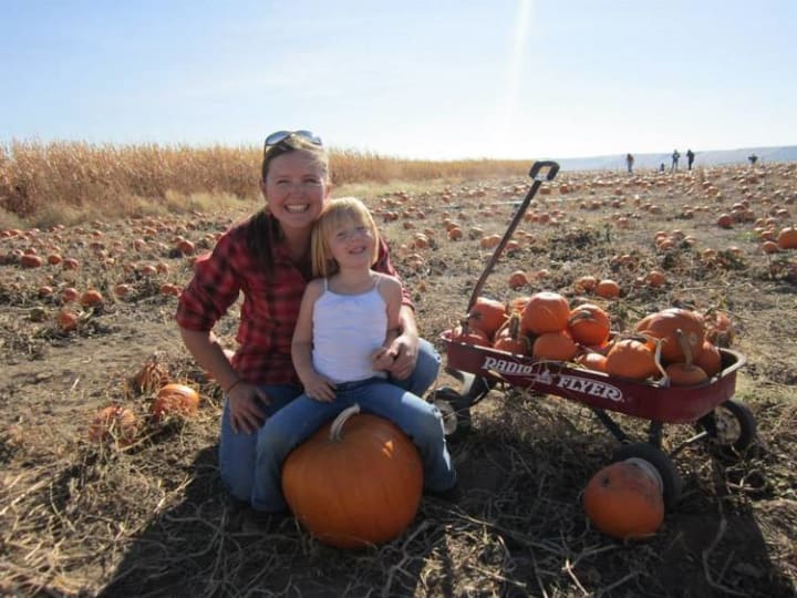 Main image for Quey's Maze and Pumpkin Patch
