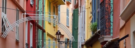 Main image for Iris Game