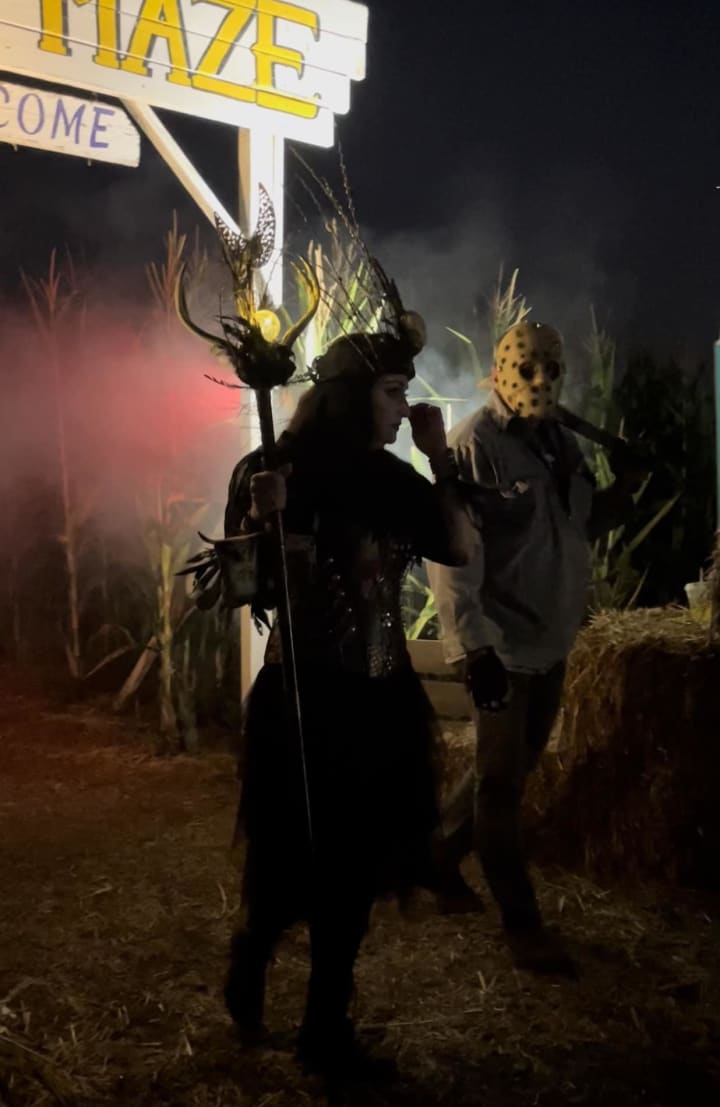 Main image for The Melon Shack