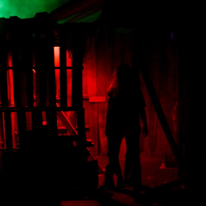 Main image for Magic Springs Theme and Water Park