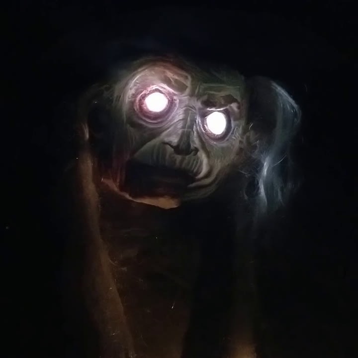 Main image for Cemetery House