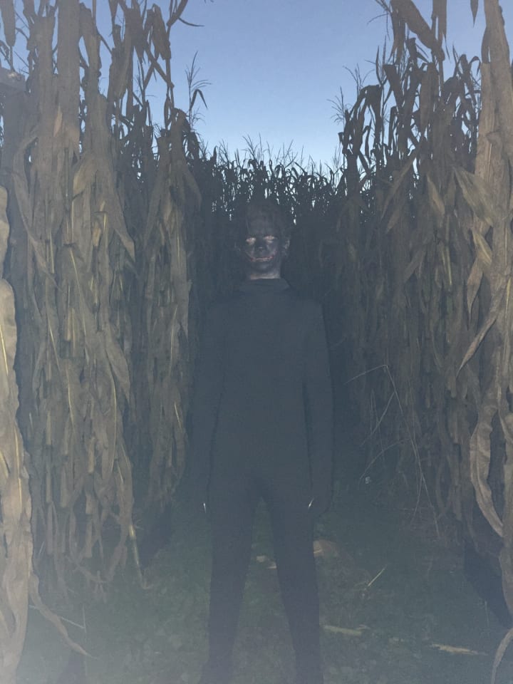 Main image for Devine's Corn Maze