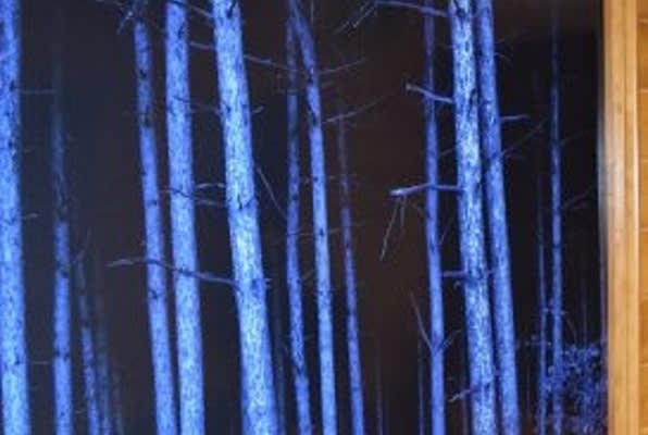 Main image for Sixth Sense Escape Games