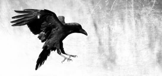 Main image for Ravenscroft Haunted Society Haunted House-Versailles, IL