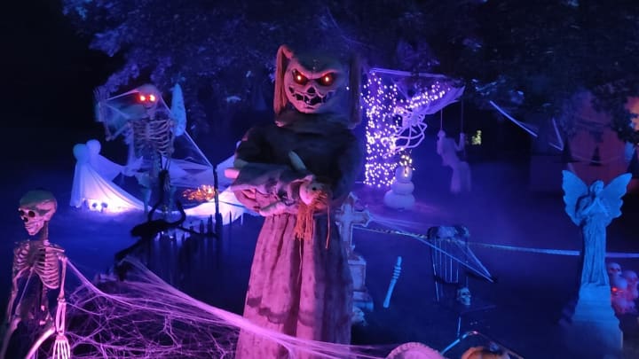 Main image for Infestation on Fairfax