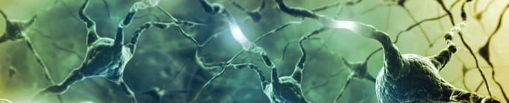 Main image for Enigmania