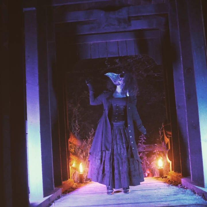 Main image for The Haunted World