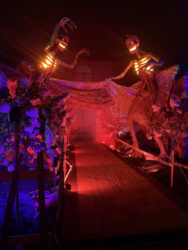 Main image for Backwoods of Ridgewood