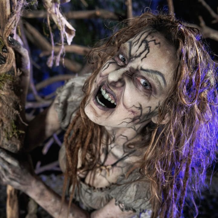 Main image for Maniac Mountain Haunted House