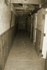 Main image for Edge of Insanity Haunted Attraction