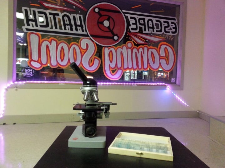 Main image for The Escape Hatch