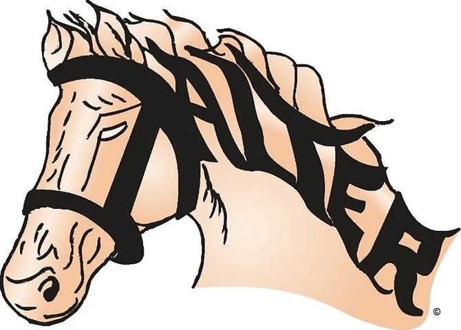 Main image for Halter Inc