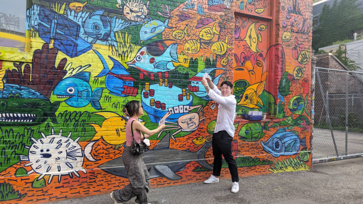 Main image for Kiwi Kingdom