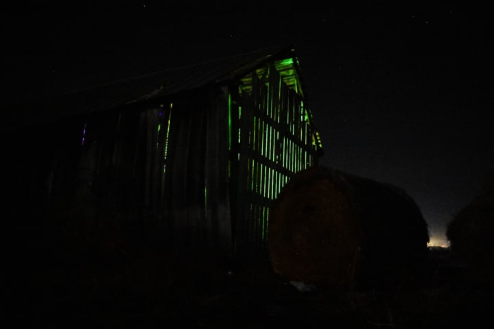 Main image for Fritz Corn Maze