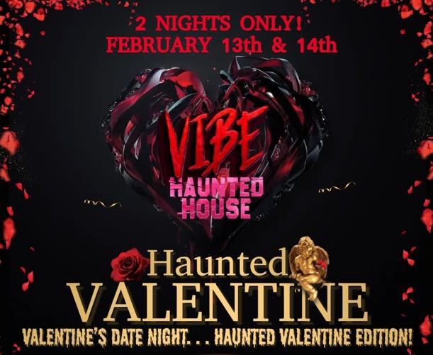 Main image for Vibe Haunted House