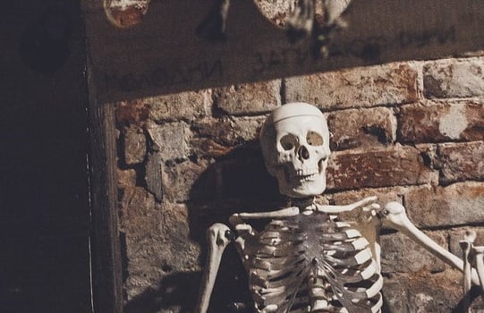 Main image for Komnata Quest