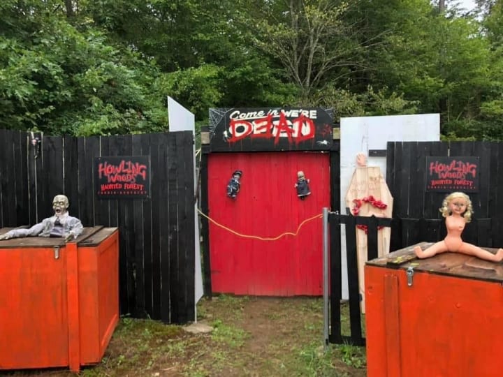 Main image for Howling Woods Haunted Forest