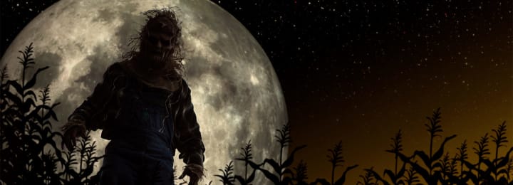 Main image for Insanity Farms