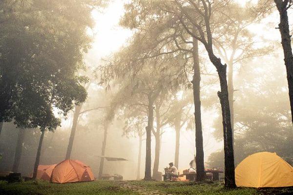 Main image for Golden Escape Rooms