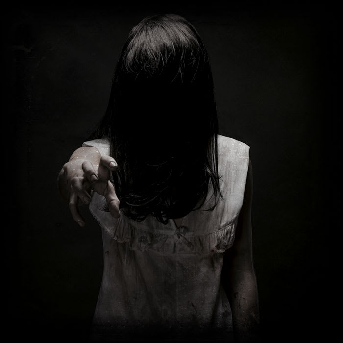 Main image for Shawhaven Haunted Farm