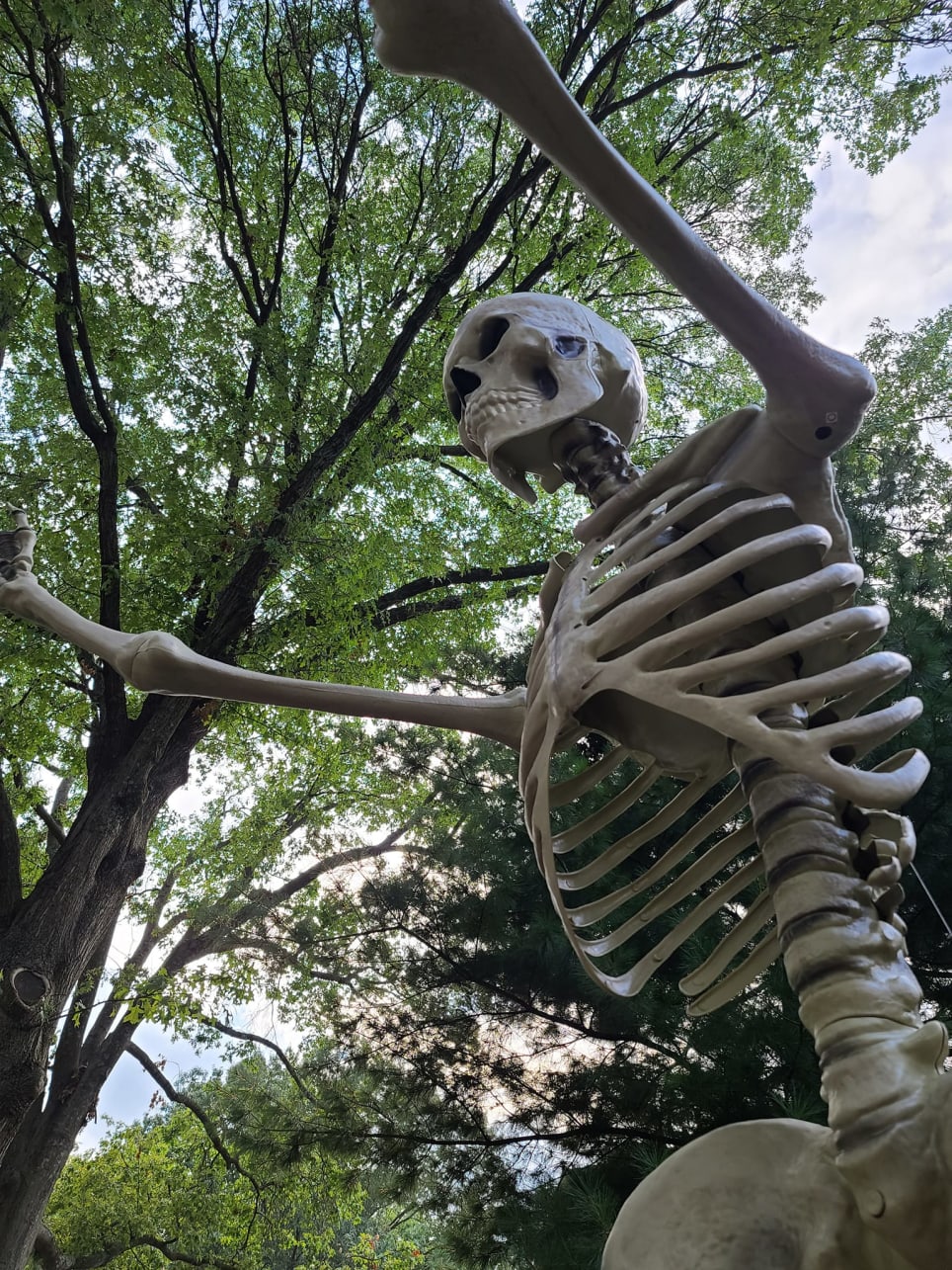 Greystone's Ghostly Gathering