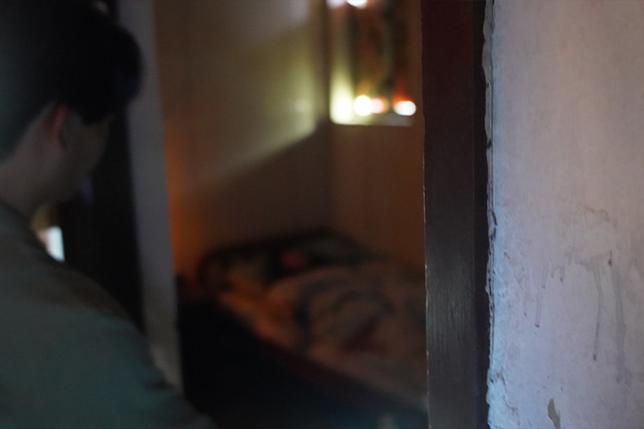 Horror of Homestead [Season 2024]