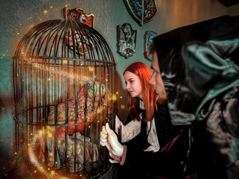 Harrys Zauberschule [Harry's Magic School]