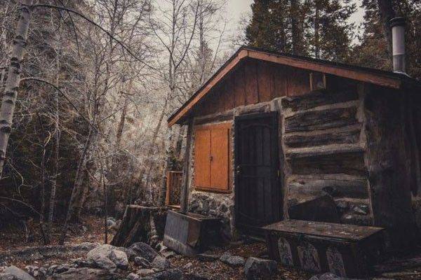 Willow Cabin