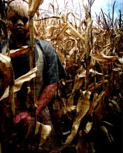The Corn Maze of Fear