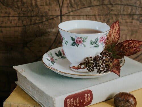 School Of Witchcraft & Wizardry: Spells & Charms