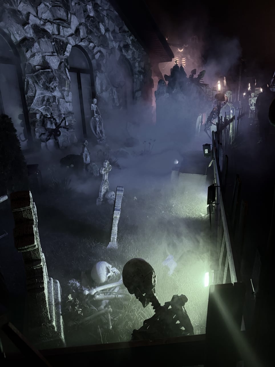 Backwoods of Ridgewood