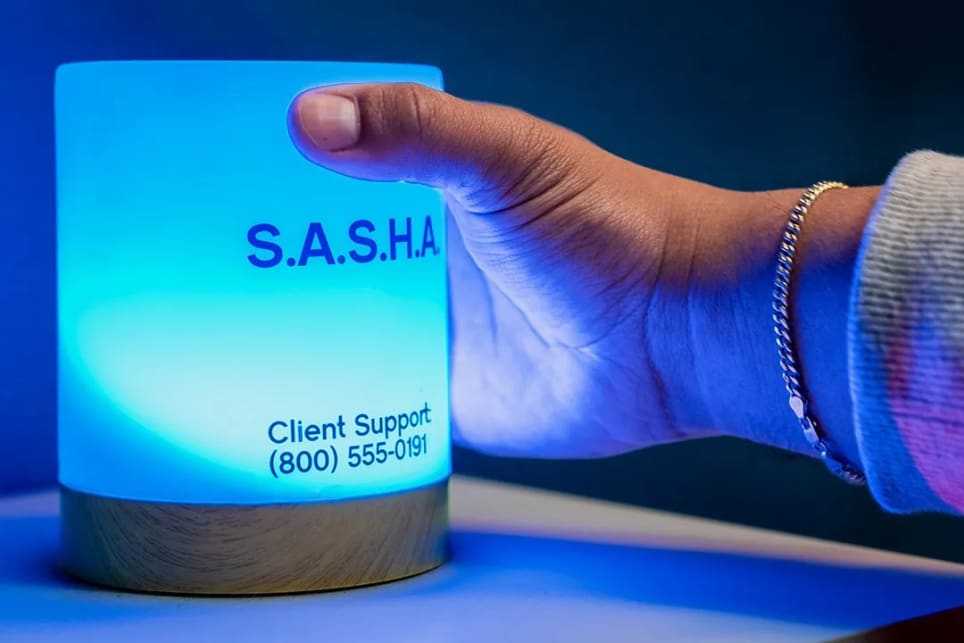 S.A.S.H.A: Home of the Future