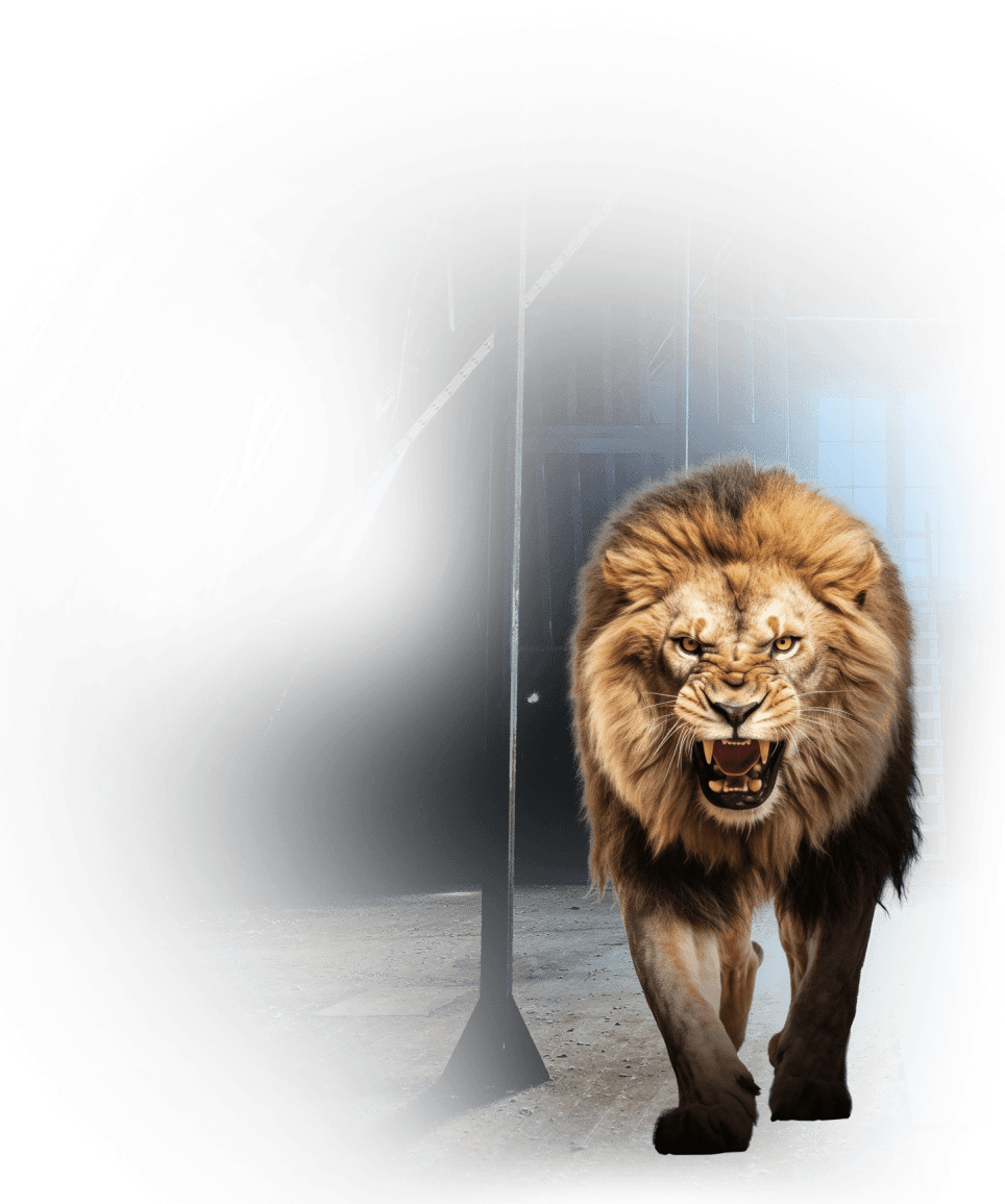 Dzsungel Rejtélye [The Mystery of the Jungle]