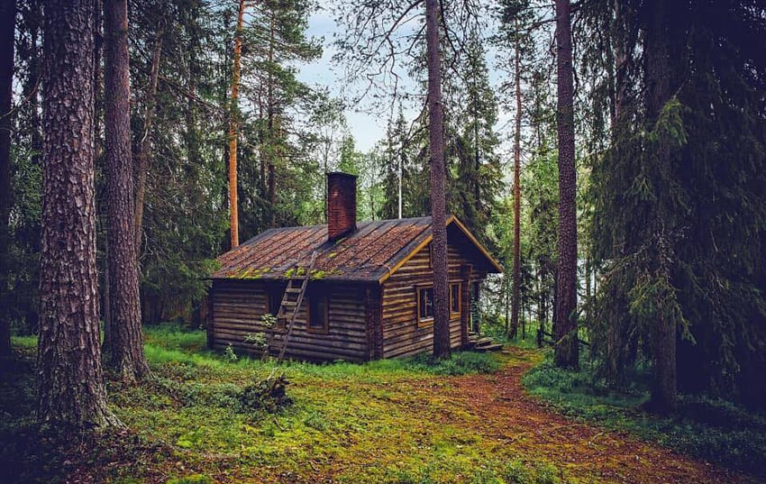 The Old Family Cabin