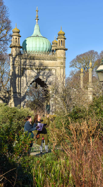 Project Pandora [Outdoor]