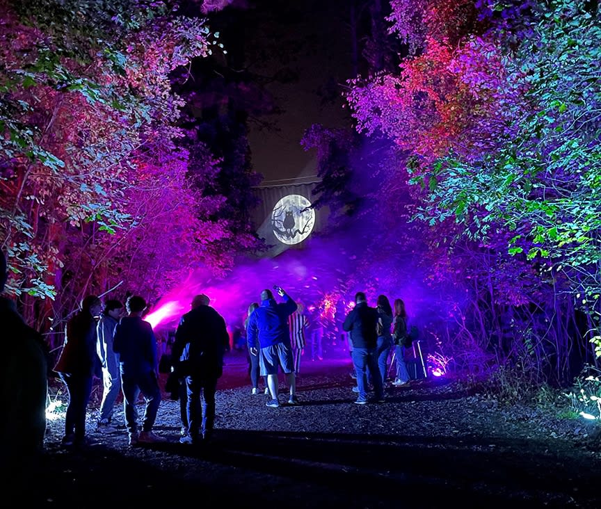 The Haunted Forest: CarnEvil