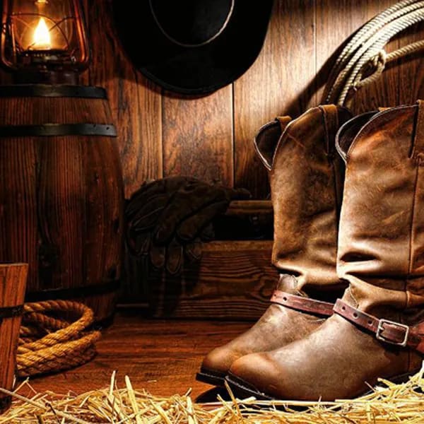 Selvaggio West [Wild West]