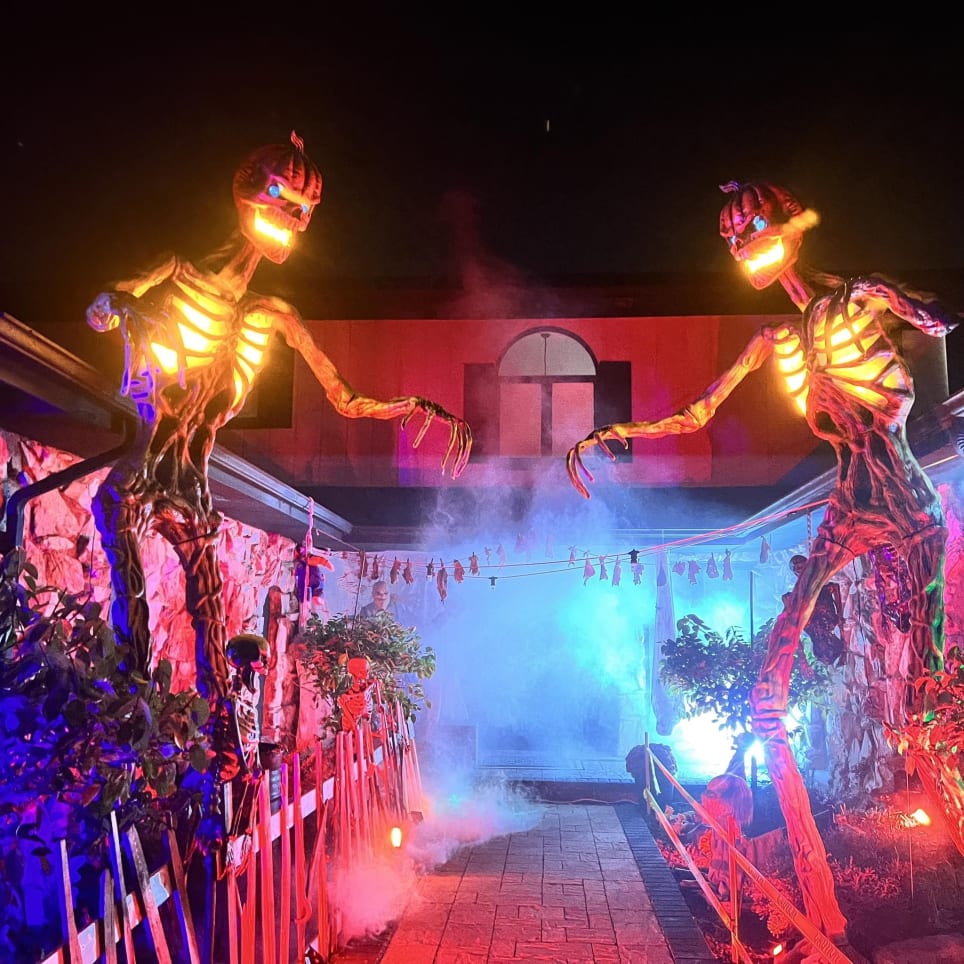 Backwoods of Ridgewood