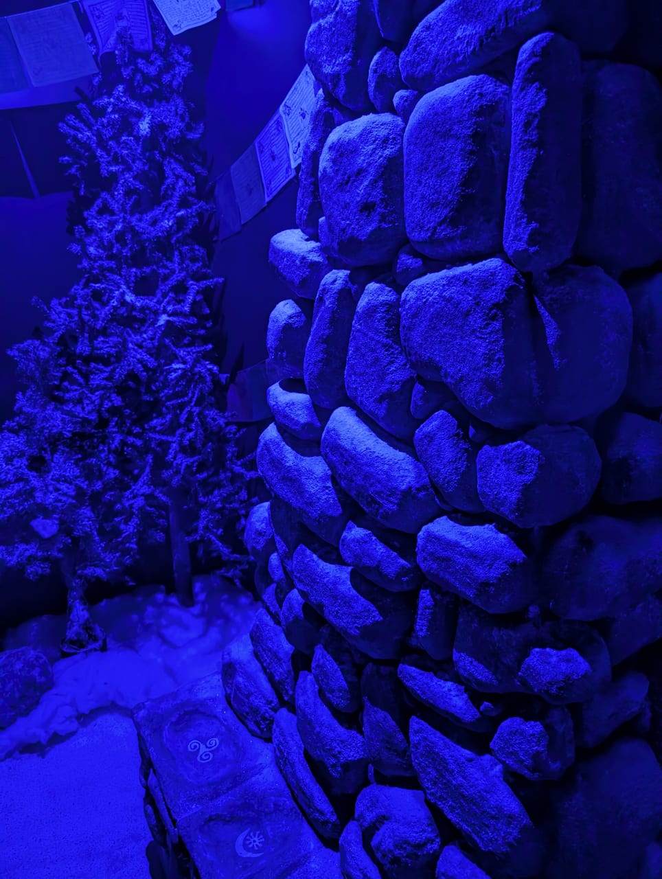 Frozen Tundra Task Force: Project YETI