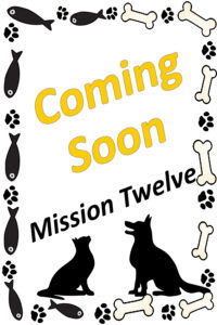 Mission 12