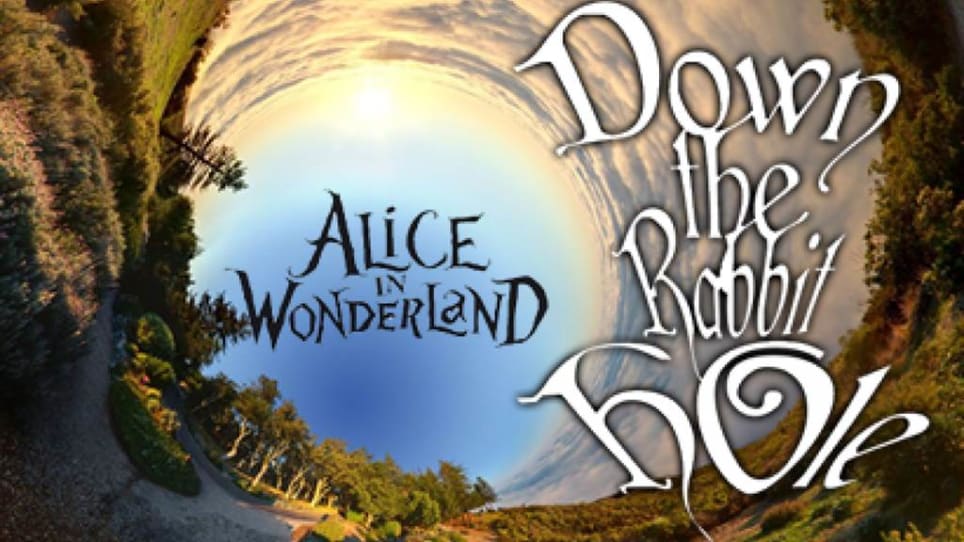 Down The Rabbit Hole