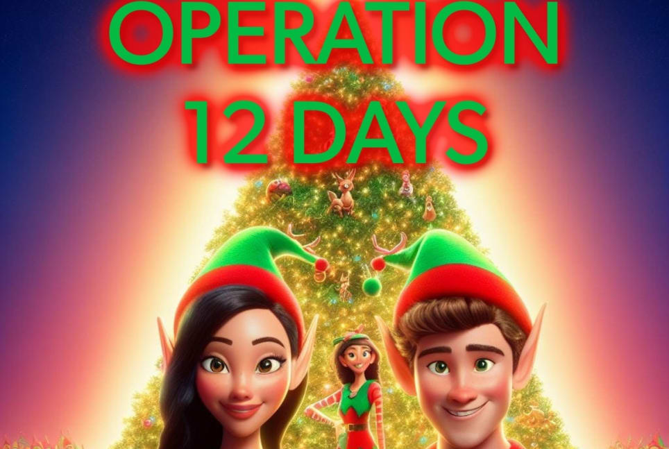 Operation 12 Days