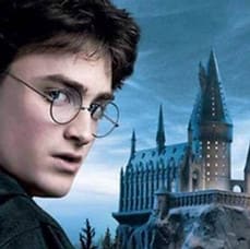 Disparition A L’Ecole Des Sorciers