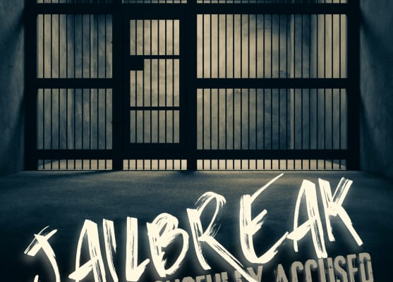 Jailbreak Of The Wrongfully Accused