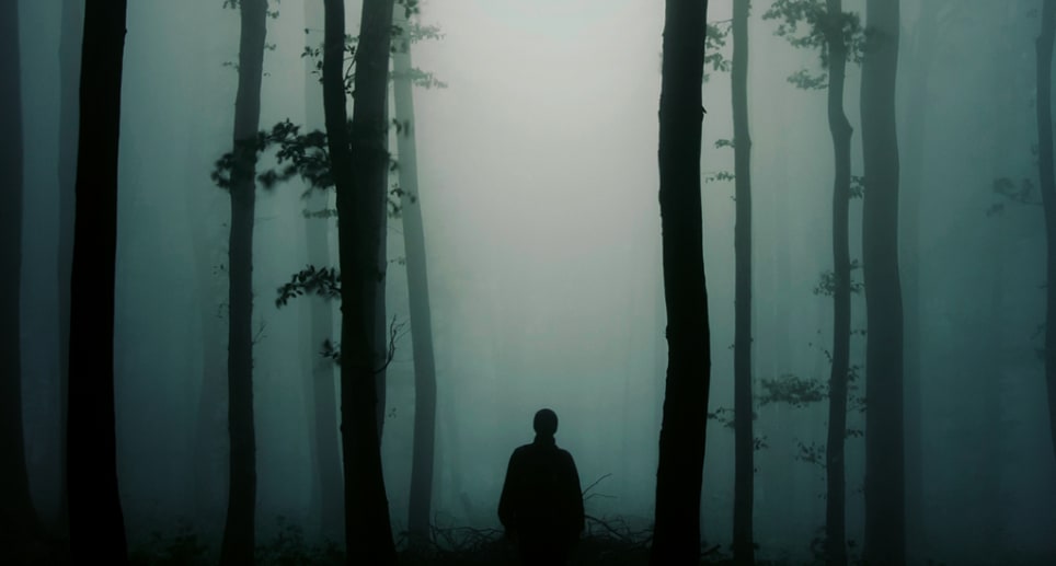 Die Legenden der Zauberakademie Teil 2 - Die Rückkehr des dunklen Lords [The Legends of the Magic Academy Part 2 - The return of the Dark Lord]