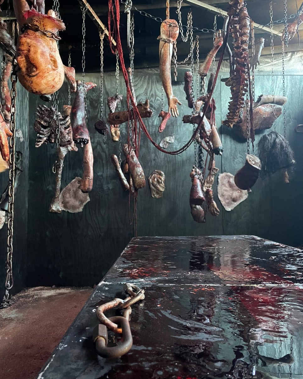 The Museum of Madness