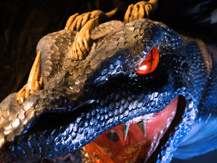 Operation Spellbound